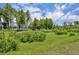 Lush green backyard with trees and natural landscaping near a pond at 17537 Sailfin Dr, Orlando, FL 32820