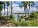 Picturesque lake view with lush vegetation and clear waters, showcasing the natural beauty of the surrounding area at 17537 Sailfin Dr, Orlando, FL 32820