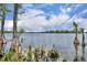 Picturesque water view with cypress trees and vibrant green foliage at 17537 Sailfin Dr, Orlando, FL 32820