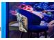 Unique upholstered chair adds style to the underwater-themed room at 3860 Sonoma Blvd, Kissimmee, FL 34741