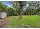 Large grassy backyard featuring a storage shed and mature trees providing ample shade at 750 W May St, Deland, FL 32720