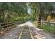 Picturesque boardwalk surrounded by lush greenery and moss-draped trees provides a serene walking experience at 168 Perimeter Ct # 5C, Deltona, FL 32725