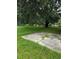 A backyard with overgrown grass and a cement area at 1822 Williams Manor Ave, Orlando, FL 32811