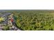 An aerial view shows the community located next to a large conservation area at 2346 Silver Palm Dr, Kissimmee, FL 34747