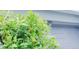 The house address is displayed above the garage door surrounded by lush green foliage at 3880 Sonoma Blvd, Kissimmee, FL 34741