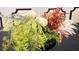 Decorative floral arrangement featuring white and orange flowers, adding a touch of nature to the space at 3880 Sonoma Blvd, Kissimmee, FL 34741