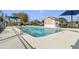 Community pool surrounded by lounge chairs and umbrellas for residents to relax and enjoy sunny days at 10293 Cypress Knee Cir, Orlando, FL 32825