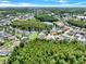 Aerial view of the community with mature trees surrounding a lake, highlighting the tranquil and picturesque setting at 14036 Cherry Bush Ct, Orlando, FL 32828