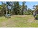 Beautiful and expansive backyard featuring lush greenery with lots of room at 14205 Conifer Dr, Orlando, FL 32832