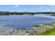 Beautiful lake with water lilies, perfect for serene views and relaxation in nature at 16386 Se 156Th Place Rd, Weirsdale, FL 32195