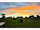 Picturesque farm with grazing cattle and chickens under a vibrant, colorful sunset sky at 16386 Se 156Th Place Rd, Weirsdale, FL 32195