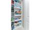 Well-organized walk-in pantry with pull out drawers and lots of shelving at 16768 Sanctuary Dr, Winter Garden, FL 34787