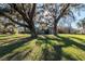 Charming one-story home with a landscaped yard and majestic old trees draped with Spanish moss at 6917 Roman Ct, Clermont, FL 34714