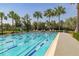 A view of the community lap pool with blue racing lines is surrounded by lush palm trees at 8268 Bellow St, Orlando, FL 32827