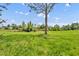 A beautiful sunny backyard with a large tree at 3715 S Lake Orlando Pkwy # 11, Orlando, FL 32808