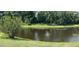 Backyard pond view with lush greenery and reflections at 10143 Pink Carnation Ct, Orlando, FL 32825