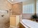Walk-in shower with stone floors and bathtub at 19123 Sheldon St, Orlando, FL 32833