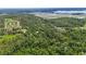 Expansive aerial view features lush trees and distant lakes in the neighborhood at 4825 N Fort Christmas Rd, Christmas, FL 32709