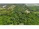 Lush aerial view of a tree-filled landscape with houses in the distance at 4825 N Fort Christmas Rd, Christmas, FL 32709