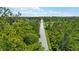 Tree-lined street offers a scenic path to the property at 4825 N Fort Christmas Rd, Christmas, FL 32709