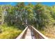 Picturesque boardwalk through a lush, wooded area, offering a scenic outdoor experience at 5913 Masters Blvd, Orlando, FL 32819