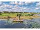 Picturesque view of a wooden fishing dock on a calm lake with surrounding greenery and homes in the distance at 8057 John Hancock Dr, Winter Garden, FL 34787