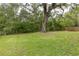 Expansive backyard featuring lush greenery, a mature tree, and a partial fence at 9014 Great Sound Dr, Orlando, FL 32827