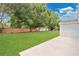 Expansive backyard with lush green lawn, mature trees, a brick wall, and a concrete patio at 10984 Pinewood Cove Ln, Orlando, FL 32817