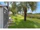 The backyard has lush grass, palm trees, a storage shed, and a view of the greenbelt at 2391 Piedmont Lakes Blvd, Apopka, FL 32703