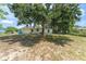 Large backyard with mature trees and a chain-link fence at 2710 W County Road 44, Eustis, FL 32726