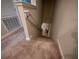 Carpeted stairway descending with a handrail along the wall for added safety and support at 391 Cape Honeysuckle Pl, Sanford, FL 32771