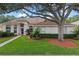 Charming one-story home featuring a well-manicured lawn and mature tree, offering shade and curb appeal at 824 Spring Island Way, Orlando, FL 32828