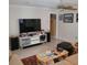 Bright living room with modern decor, large television and comfortable seating area at 8539 Clematis Ln, Orlando, FL 32819