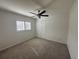 Neutral bedroom featuring carpet, ceiling fan, and window with plantation shutters at 10955 Lemay Dr, Clermont, FL 34711