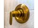 Detailed view of a bronze shower faucet showcasing modern design and clean lines in the bathroom at 1257 Champions Dr, Daytona Beach, FL 32124