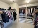 Organized walk-in closet with custom shelving and ample hanging space for clothes and accessories at 14753 Snowy Egret St, Winter Garden, FL 34787