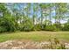 Lush backyard with trees and plants creating a private outdoor oasis at 179 Crown Point Cir, Longwood, FL 32779