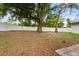 Large backyard with mature trees and a white fence at 22 Hillcrest Dr, Babson Park, FL 33827