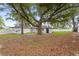 Large, private backyard with mature trees and a fence at 22 Hillcrest Dr, Babson Park, FL 33827