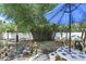 Outdoor seating area with lush greenery and mature trees at 619 Byron Rd, Winter Park, FL 32792