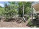 Relaxing backyard with lush greenery, mature trees, and inviting seating areas at 619 Byron Rd, Winter Park, FL 32792