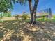 Backyard showing a mature tree and a partially obscured view of the rear of the home and screened pool at 1233 Gladstone Dr, Deltona, FL 32725