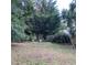 Large, grassy backyard area featuring mature trees and landscaping, offering a serene outdoor space at 13111 Sunshine Cir, Clermont, FL 34711