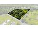 Aerial view of the property highlighting its boundary and lush greenery, providing a sense of privacy at 1391 Terry Ln, Kissimmee, FL 34744