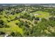 Picturesque aerial perspective of a residence with pond, surrounded by mature trees and lush landscaping at 1391 Terry Ln, Kissimmee, FL 34744