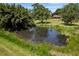 A tranquil pond bordered by lush vegetation, creating a serene and natural ambiance for the property at 1391 Terry Ln, Kissimmee, FL 34744