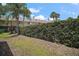 A secluded backyard space with well-maintained hedges and lush lawn at 184 Sandlewood Trl # 2, Winter Park, FL 32789
