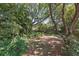 Large, private backyard features lush landscaping and mature trees at 2915 Hargill Dr, Orlando, FL 32806