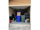Spacious garage interior featuring household items, storage bins, and other items at 707 Carpenters Way # 50, Lakeland, FL 33809