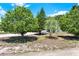 View of home behind trees on large front yard with spacious driveway to the left at 809 Deer Glen Ct, Fruitland Park, FL 34731